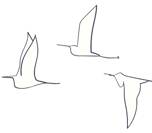 decorative line